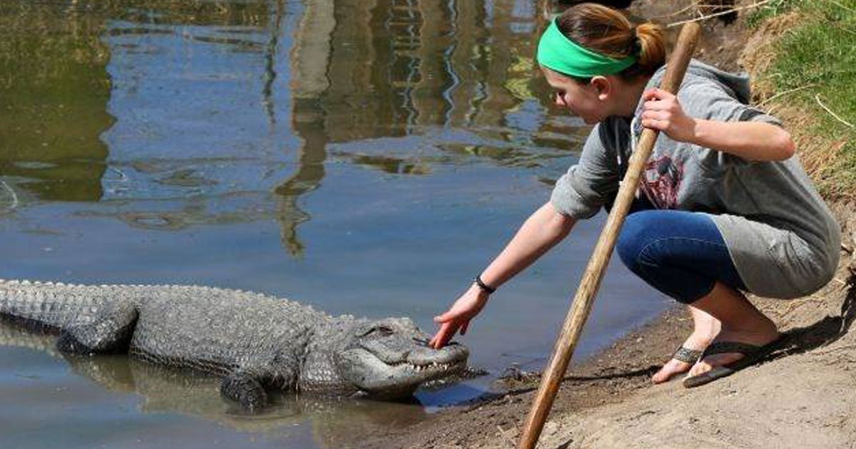 13 year old alligator wrangler.jpg?resize=412,232 - 13-Year-Old Alligator Wrangler Feeds And Transports Reptiles At Her Family’s Farm