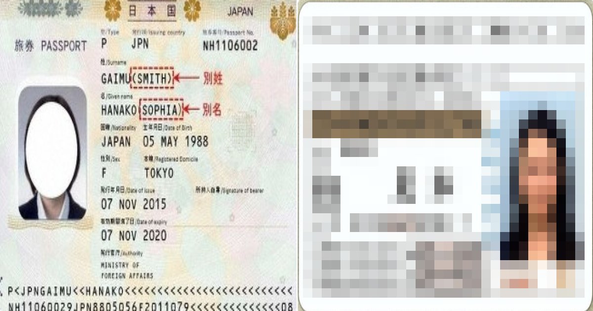 2019 12 01 e697a7e5a793e4bdb5e794a8.png?resize=412,232 - 【朗報】パスポートに続けて旧姓併用化になったものとは？