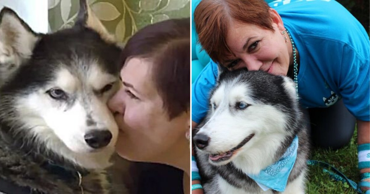 3 25.png?resize=412,275 - This Woman States That Her Dog Detected Her Ovarian Cancer Way Before Doctors Did It