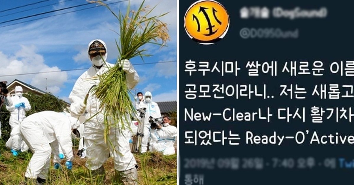 3 71.jpg?resize=1200,630 - '후쿠시마 쌀' 이름 공모전 소식을 들은 한국인의 일침.jpg