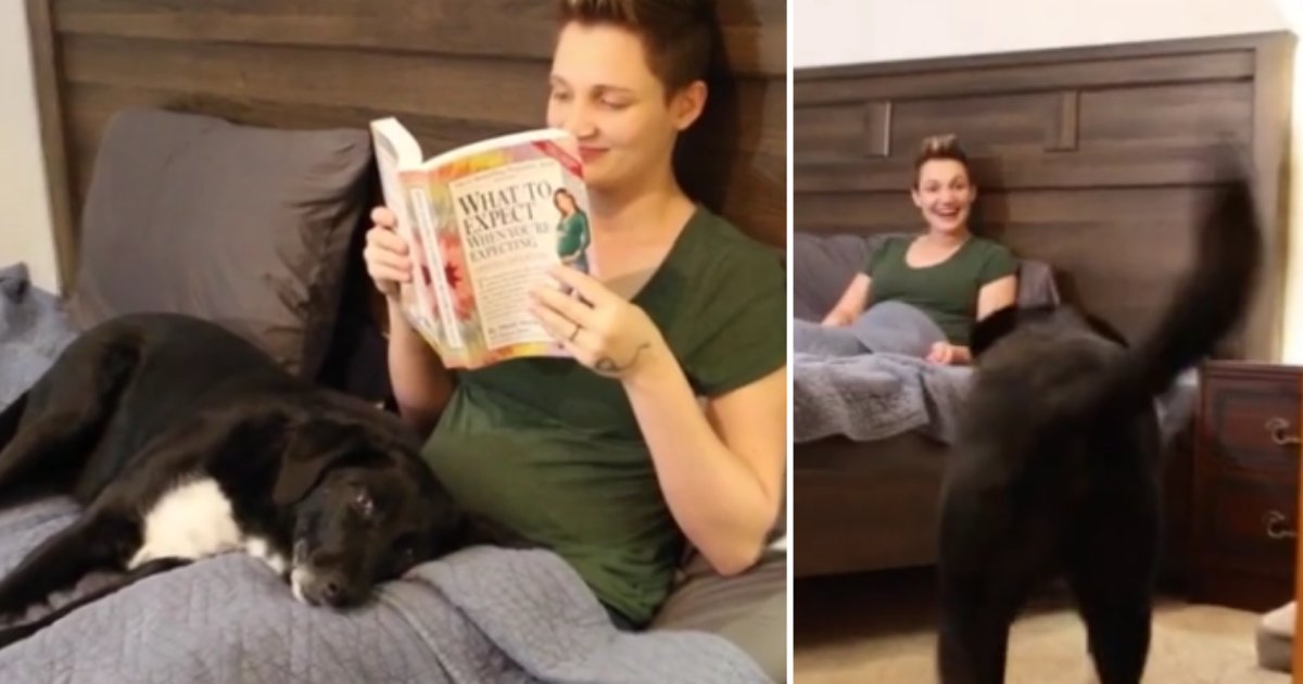 4 29.png?resize=1200,630 - Adorable Pregnancy Announcement Made By Their Beloved Dog