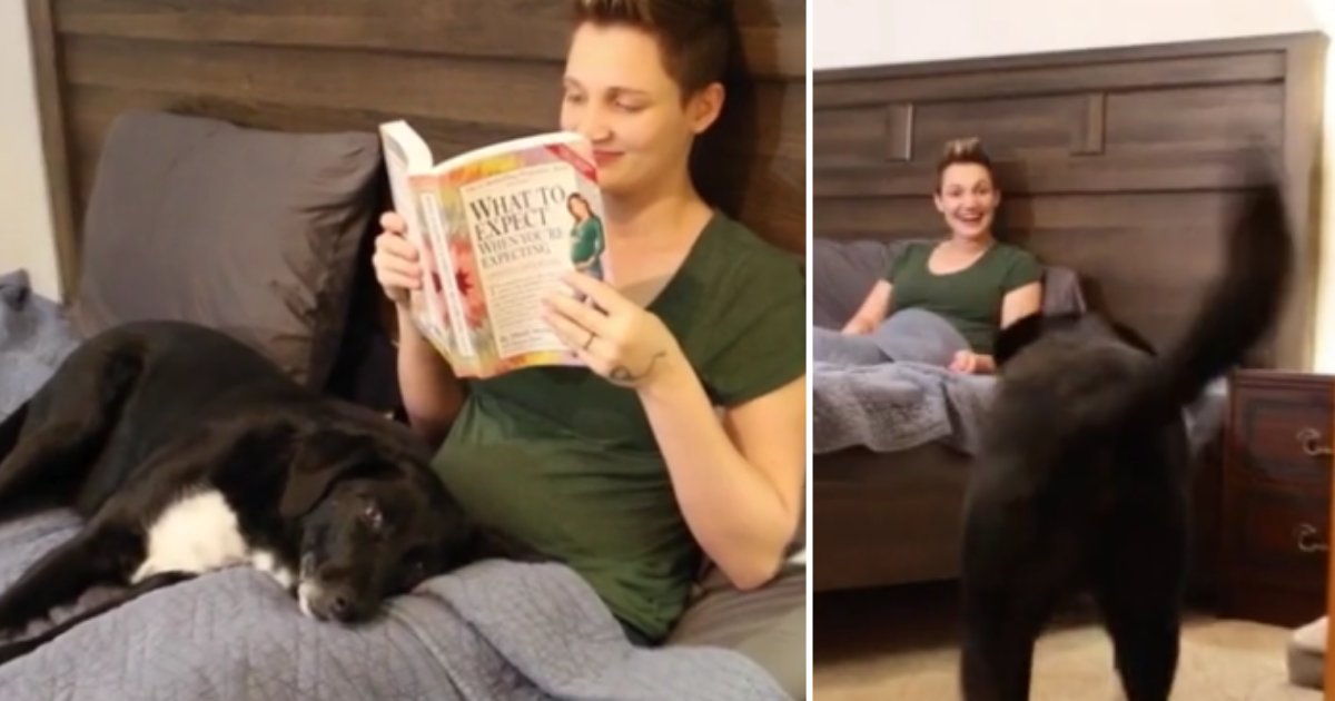 4 29.png?resize=412,275 - Adorable Pregnancy Announcement Made By Their Beloved Dog