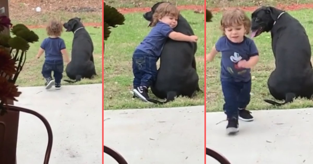 6 23.png?resize=1200,630 - Adorable Kid Hugging Dog From Behind Is The Cutest Thing