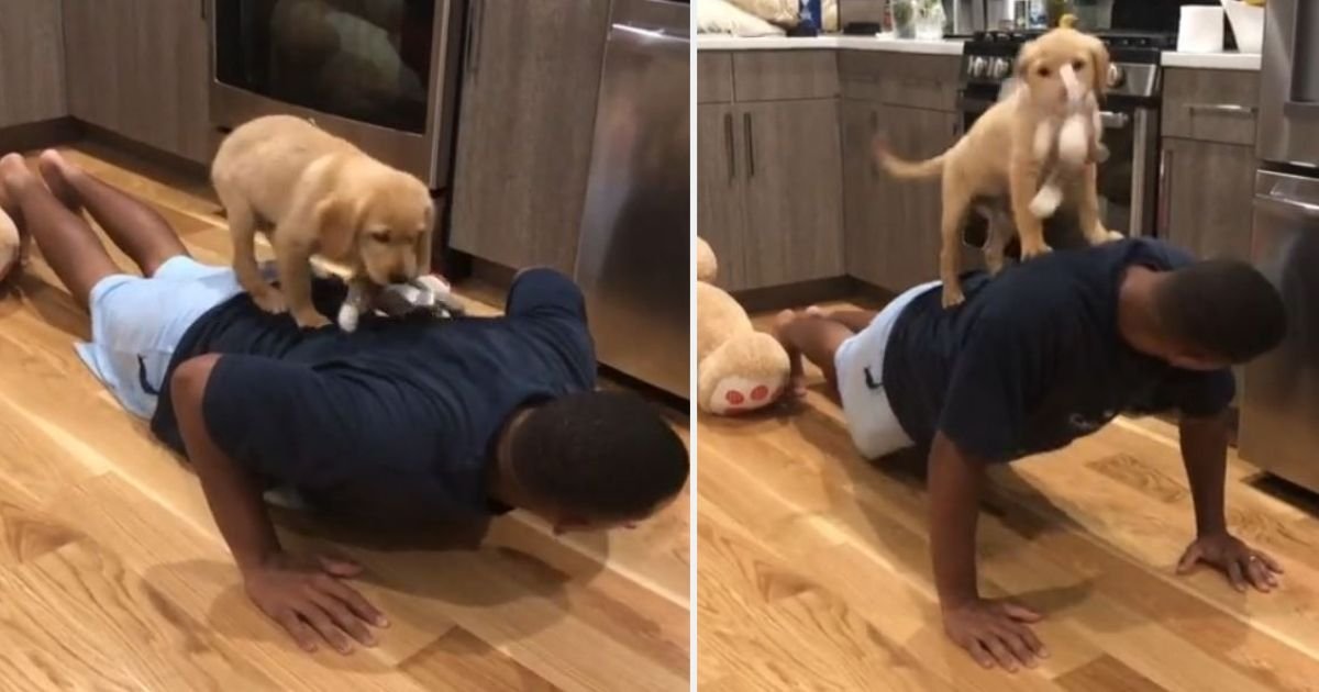 6 86.jpg?resize=412,275 - Make Your Workout More Fun With Your Pup