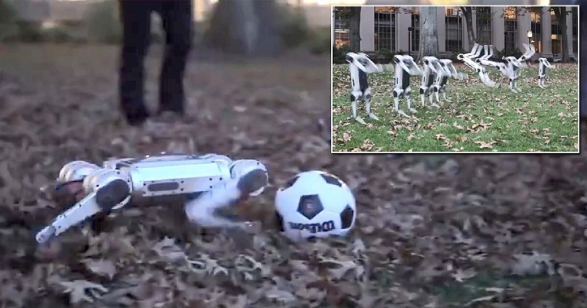 c3 12.jpg?resize=412,275 - MIT Revealed Latest Version Of Its Mini Cheetah Robots Playing Soccer