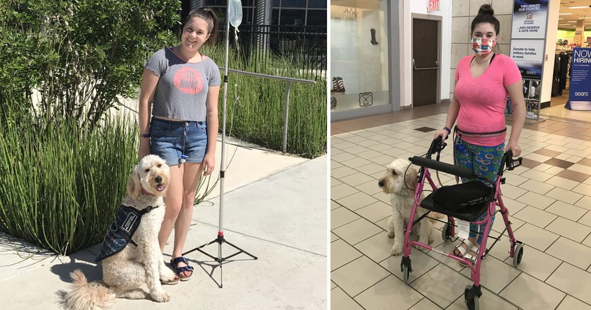 canine saves teen life.jpg?resize=412,275 - Canine Saves Life Of A Teen On A Daily Basis By Alerting Her Before Deadly Reactions