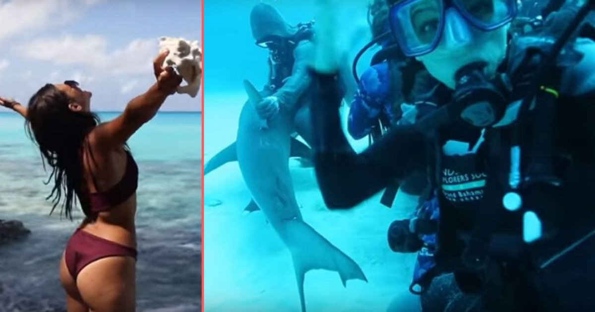 d 4.png?resize=412,275 - Lizzie, The Wildlife Explorer, Loves To Dive With the Sharks