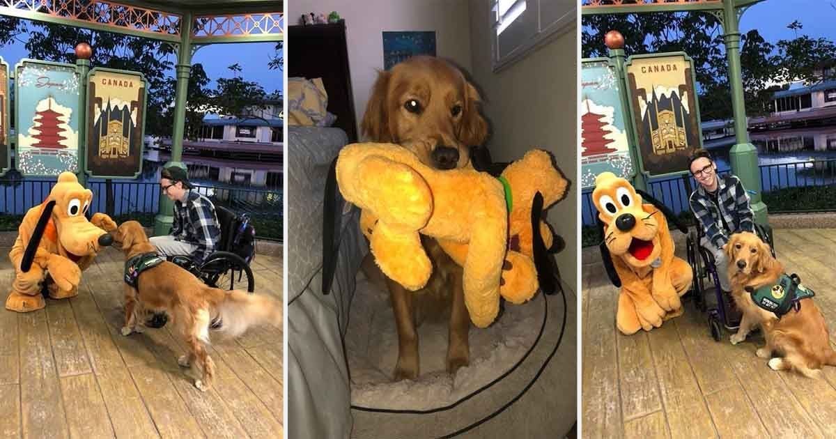 d10.jpg?resize=1200,630 - Service Dog Atlas Meets Pluto at Walt Disney World and The Adorable Video Goes Viral