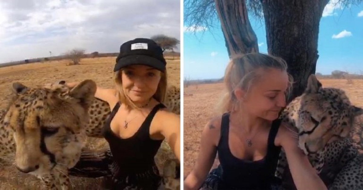 d3 5.jpg?resize=412,232 - A Young Woman Made It Her Life's Work To Take Care Of Wild Animals In Africa