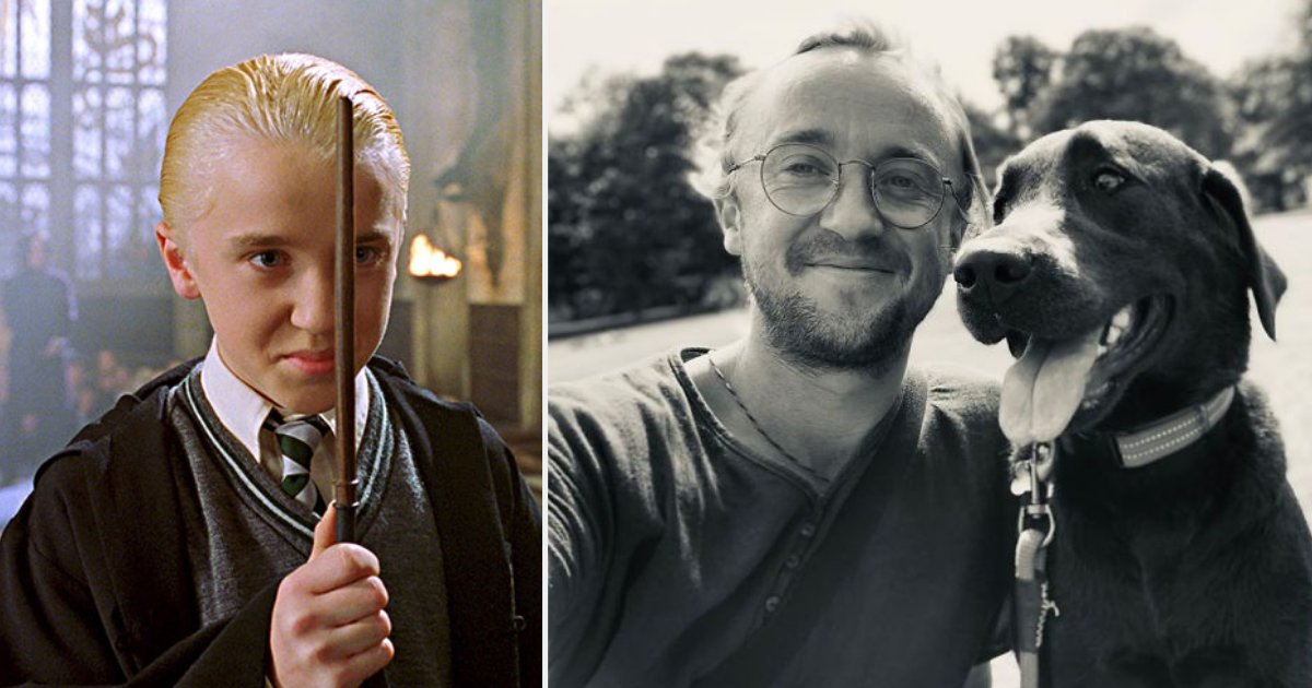 d3.png?resize=412,275 - Drago Malfoy a 32 ans et prend un bon coup de vieux