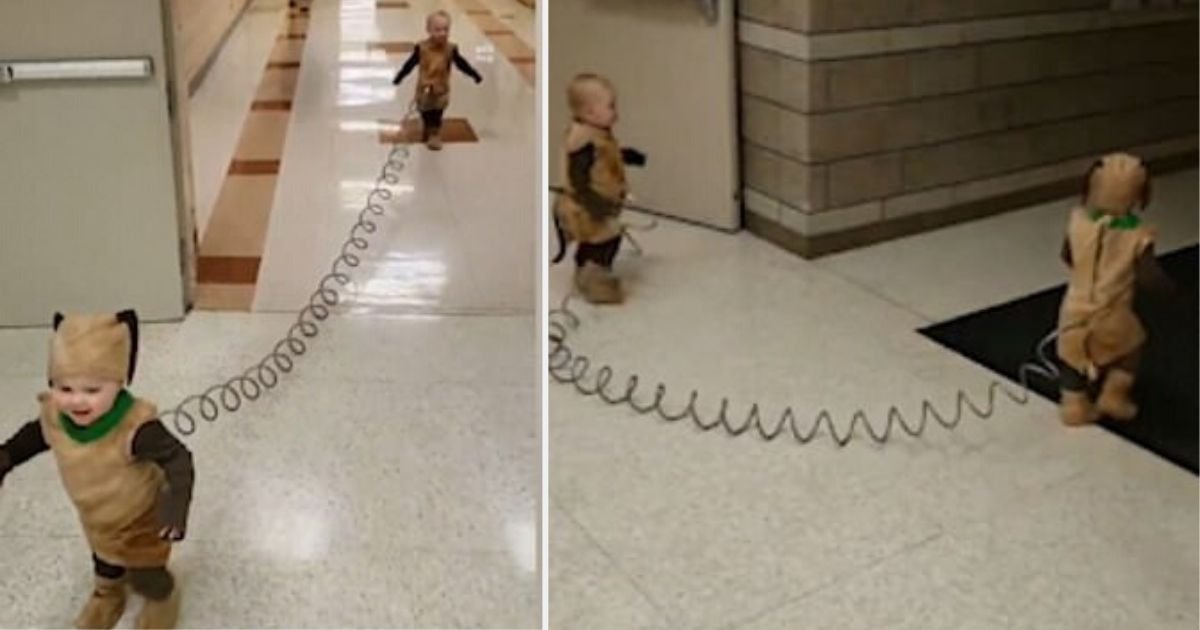 d6 2.jpg?resize=412,275 - Cute Tiny Tots Dressed as Slinky Dogs: A Perfect go-as-you-like Costume For Babies
