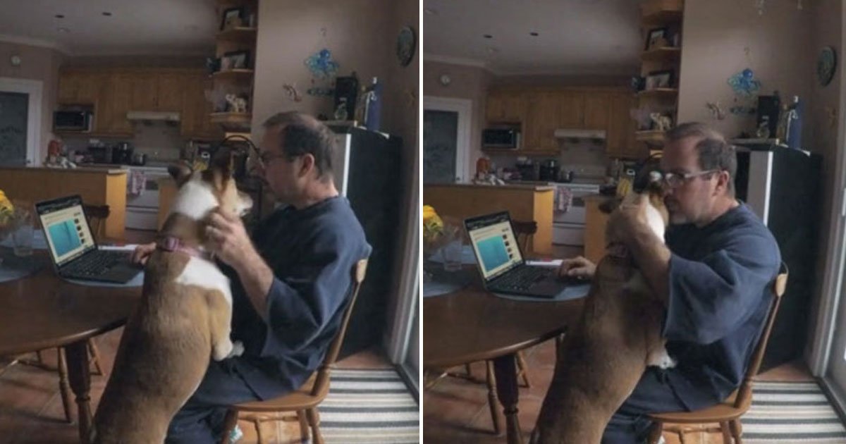 dog trying to get attention.jpg?resize=412,232 - Video Of An Adorable Dog Trying To Get Her Owner’s Attention