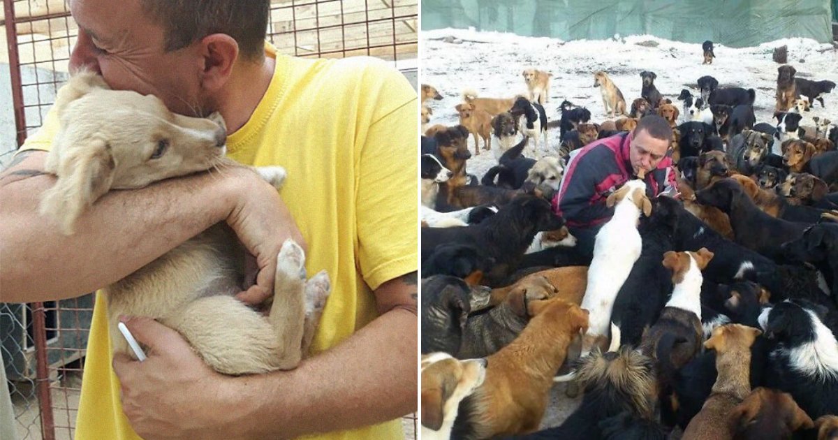 dogs6.png?resize=412,275 - Guy Takes Dogs That No One Wants, He Now Runs A Shelter With More Than 750 Canines