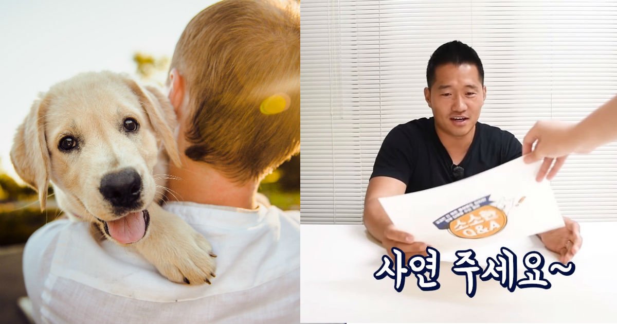 ec8db81 15.jpg?resize=412,232 - “진짜 내로남불” 강아지는 주인 핥으면서, 주인이 핥아주면 싫어하는 이유