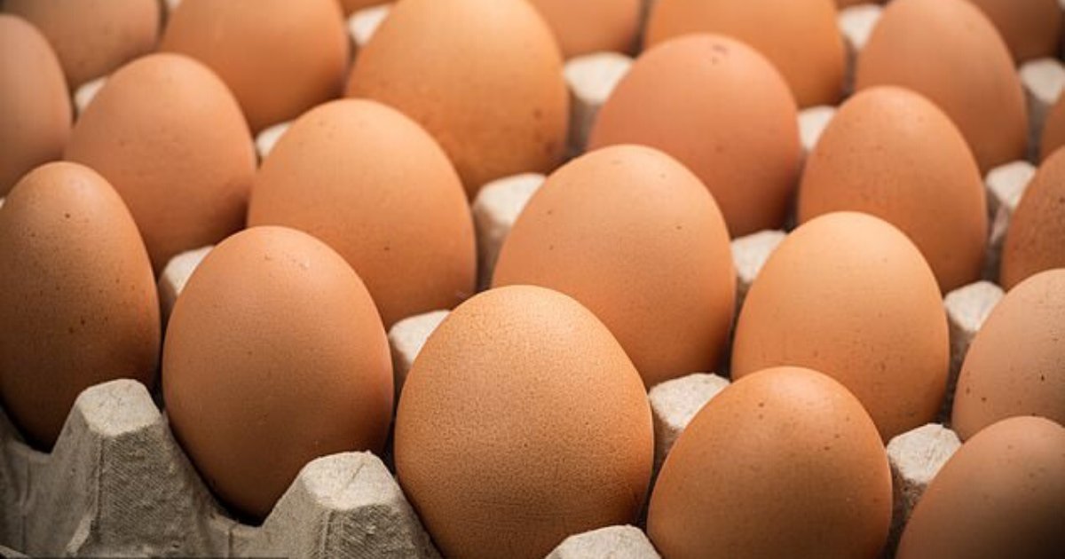 eggs3.png?resize=412,275 - Un homme de 42 ans est décédé après avoir essayé de manger beaucoup d'œufs pour gagner un pari