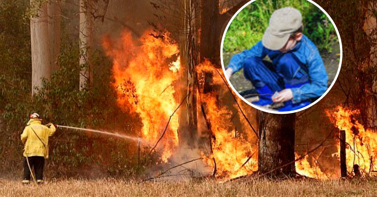 fire5.png?resize=412,275 - Police Caught 9-Year-Old Boy Igniting Grass With Blow Torch As Blazes Rage Throughout Sydney