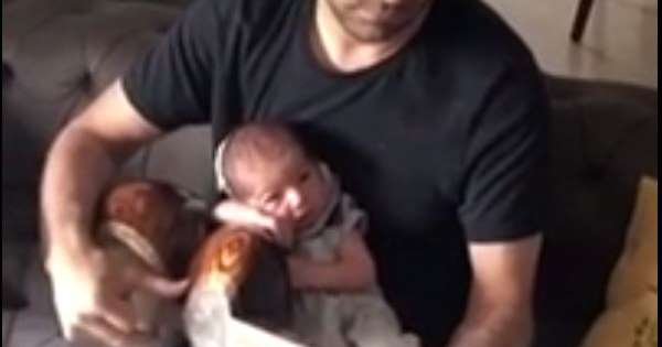 Un Bebe De 2 Semaines Avait L Air Heureux Et Detendu En Regardant Son Pere Jouer De La Guitare Vonjour