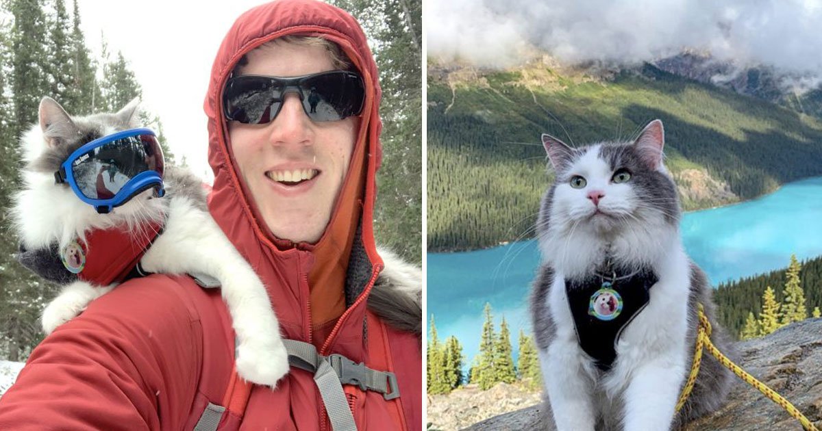 gary the adventurous cat.jpg?resize=1200,630 - Voici Gary, un chat aventureux qui adore le kayak et la randonnée
