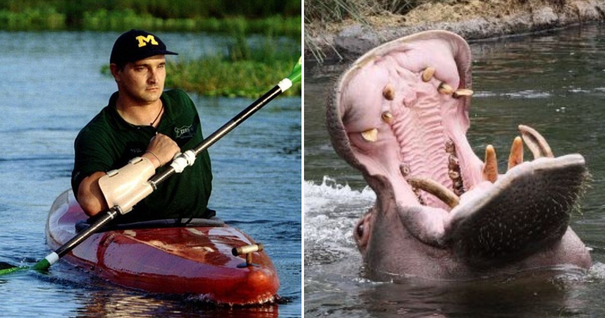 hippo6.png?resize=1200,630 - Man Miraculously Survived After Being Swallowed By A Hippo Three Times
