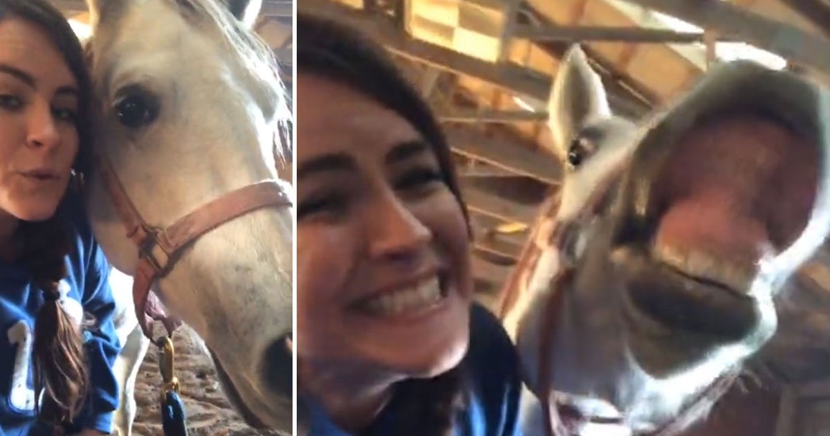 horse smiles.jpg?resize=1200,630 - Video Of A Horse Smiling While Posing For A Picture