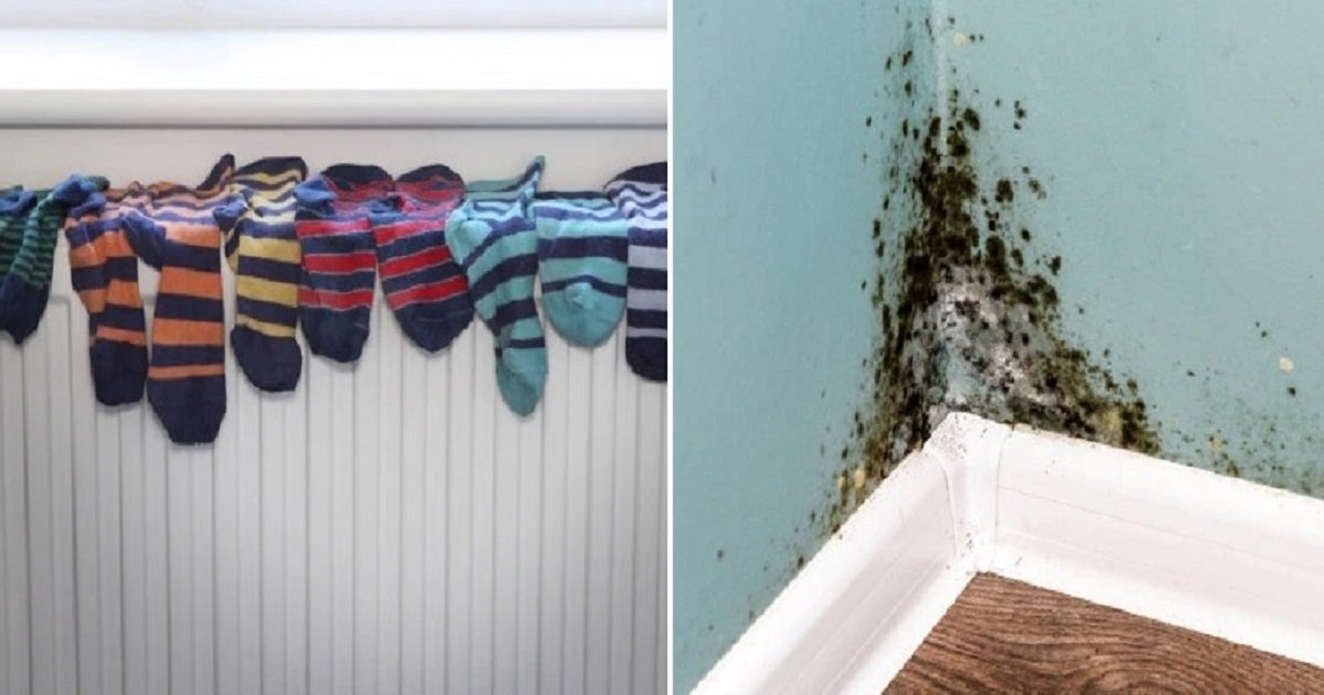 i3 1.jpg?resize=1200,630 - Drying Clothes Indoors May Produce Mold Spores That Could Cause Asthma Attacks, Experts Revealed