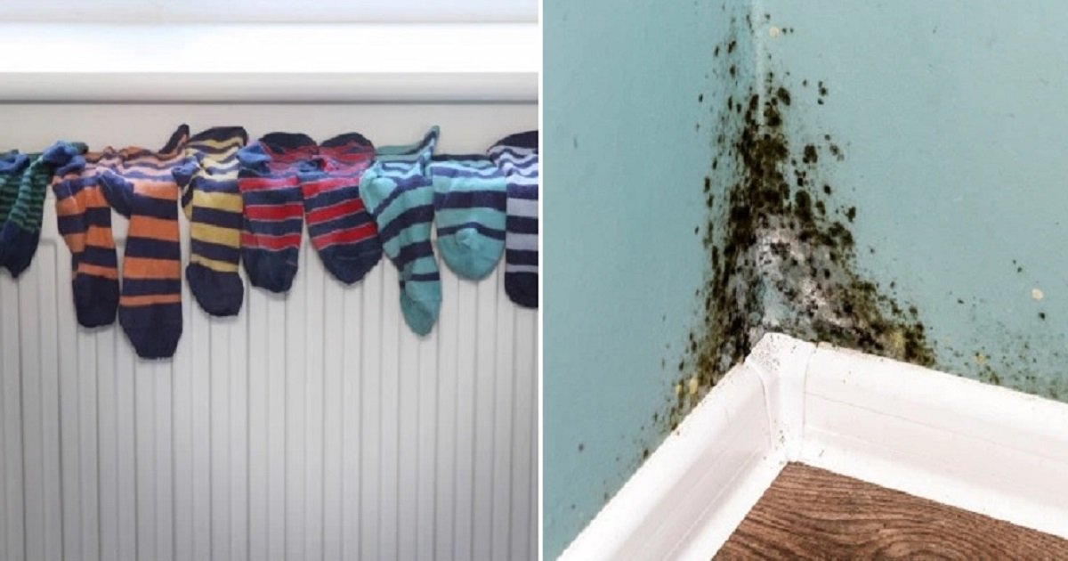 i3 1.jpg?resize=412,275 - Drying Clothes Indoors May Produce Mold Spores That Could Cause Asthma Attacks, Experts Revealed