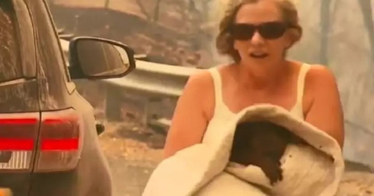 k3 2.jpg?resize=412,275 - Ellenborough Lewis, The Koala That The Kind-Hearted Woman Saved, Passed Away
