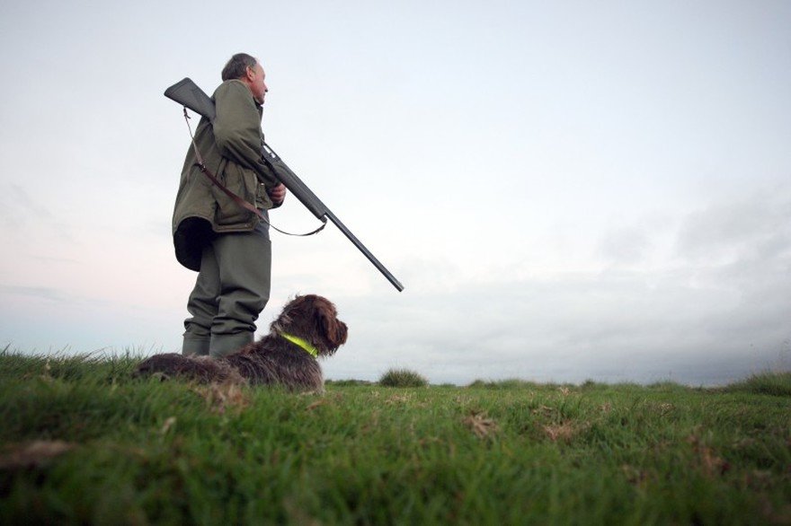 rtl.jpg?resize=412,275 - Accident de chasse : Un chien tire sur son maître