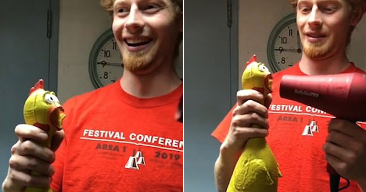 rubber chicken scream hairdryer.jpg?resize=412,275 - Student Made A Rubber Chicken Scream Using A Hairdryer