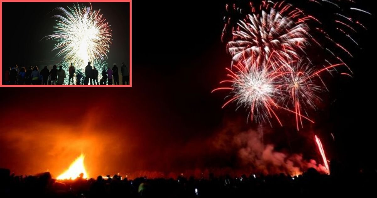 s4 1.jpg?resize=412,232 - The Move For Signing Petition to Ban Fireworks Has Gotten Viral