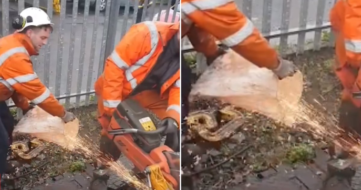 sparks4.png?resize=412,275 - Unsuspecting Apprentice Was Asked To 'Catch' Sparks For Recycling Purposes