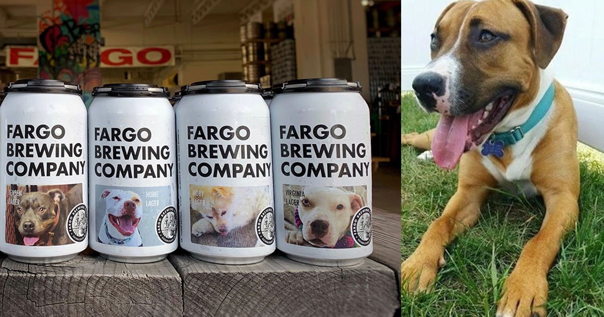 this brewing company is featuring adoptable dogs on its beer cans.jpg?resize=1200,630 - This Brewing Company Is Featuring Dogs Up For Adoption On Its Cans