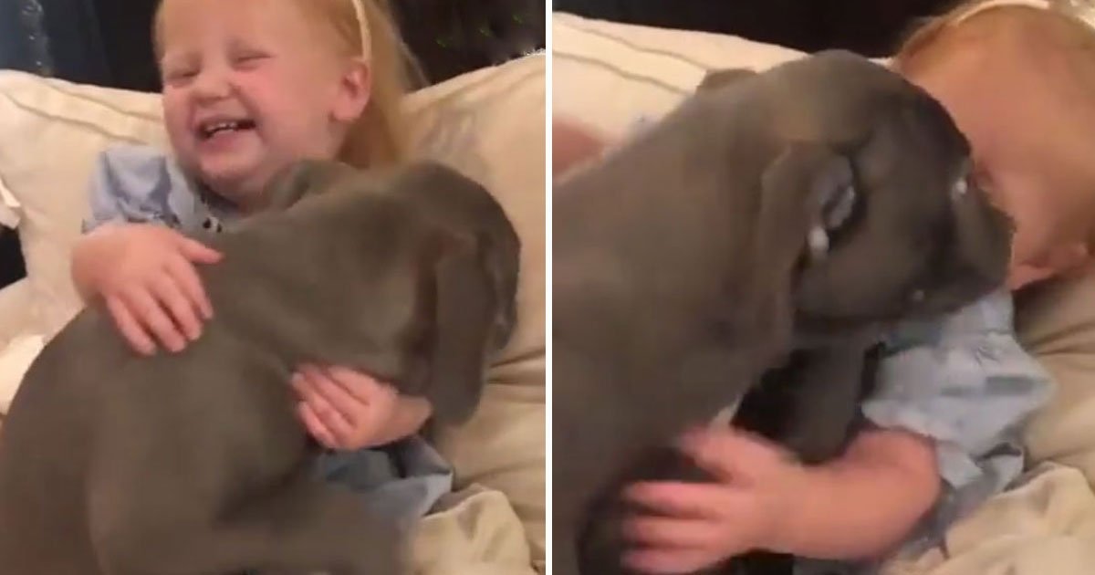 toddler hugging puppy.jpg?resize=412,275 - Video Of An Adorable Toddler Hugging Her Pup