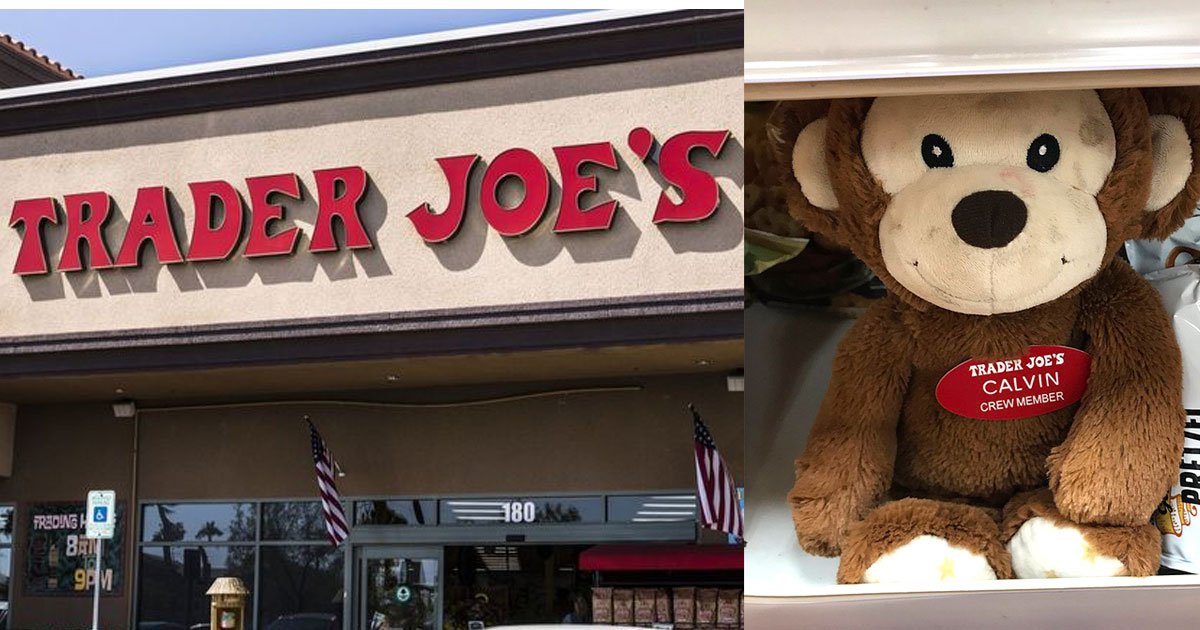 trader joes has hidden stuffed animals in most stores and if a kid spots them they will get a special prize.jpg?resize=1200,630 - Trader Joe’s Has Hidden Stuffed Animals In Some Stores, Anonymous Employee Revealed