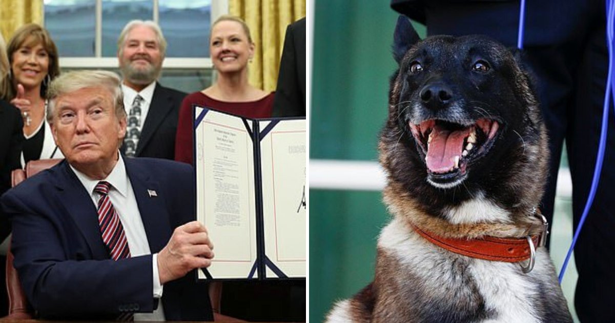 trump5.png?resize=412,275 - President Donald Trump Signed Animal Cruelty Bill Into Law, Offenders Will Face Up To 7 Years In Prison