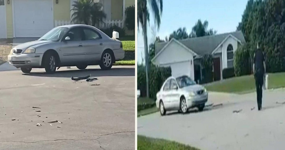 untitled 1 95.jpg?resize=412,275 - A Dog Put The Car Into Reverse And Drove It Around In Circles For An Hour