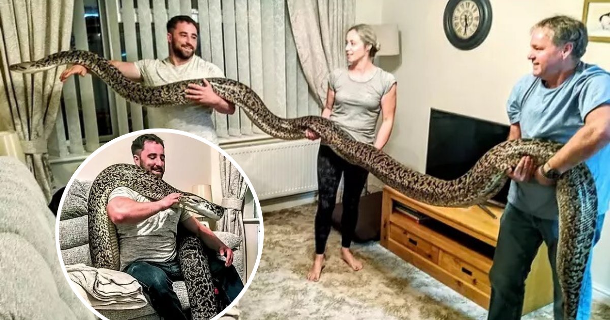 untitled design 2019 11 12t143823 006.png?resize=1200,630 - Man Shares His Home With The World's Biggest Python