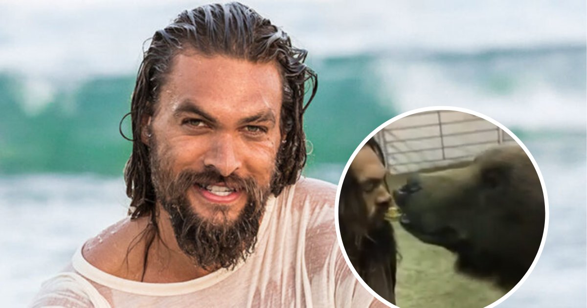 untitled design 67.png?resize=1200,630 - Animal Rights Activists Slammed Jason Momoa For Sharing A 'Cookie Kiss' With A Bear