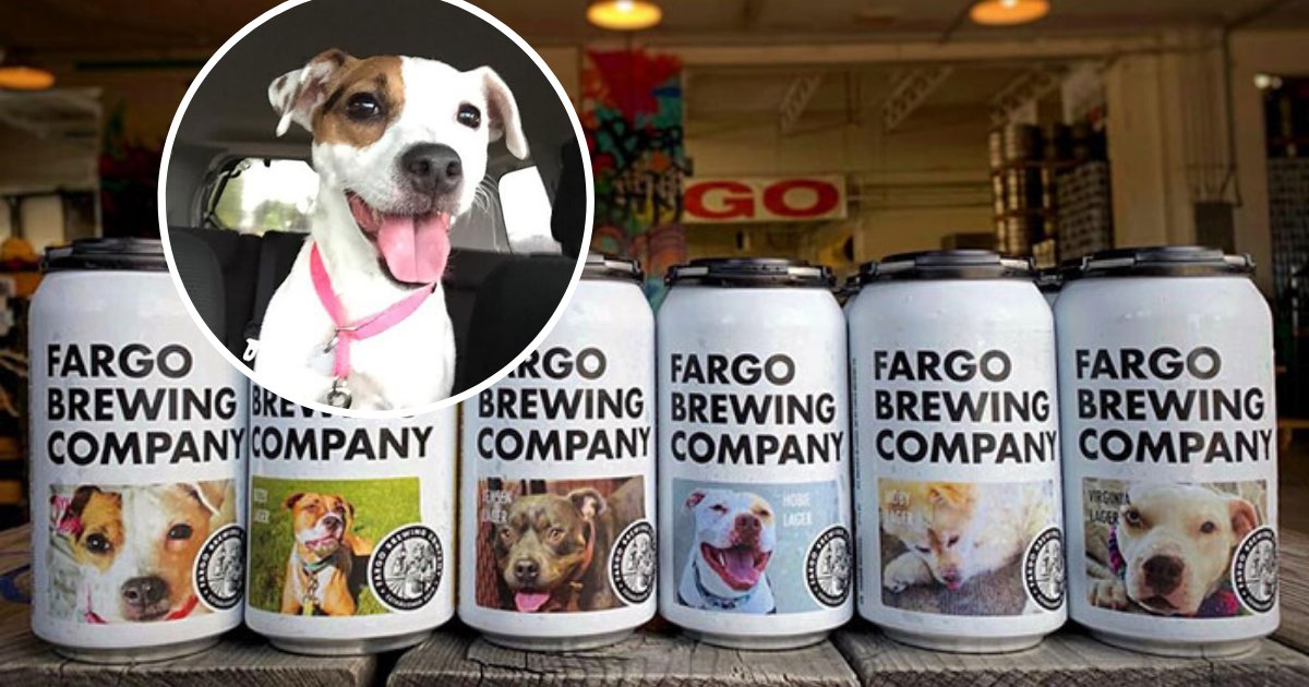 untitled design 90.png?resize=412,275 - Beer Company Places Pictures Of Shelter Dogs On Cans To Help Them Get A New Home