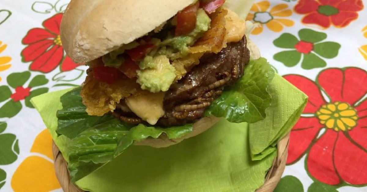 w3.jpg?resize=412,275 - An Urban Farm Created "Worm Burgers" To Help Save The Planet