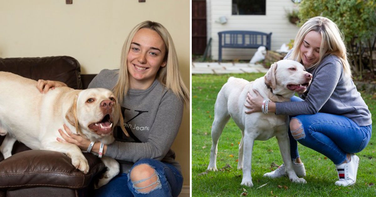 woman 100 seizures dog supports.jpg?resize=412,275 - Woman Suffers Up To 100 Seizures A Day - Her Dog Acts As A Seizure Dog Despite Having No Training