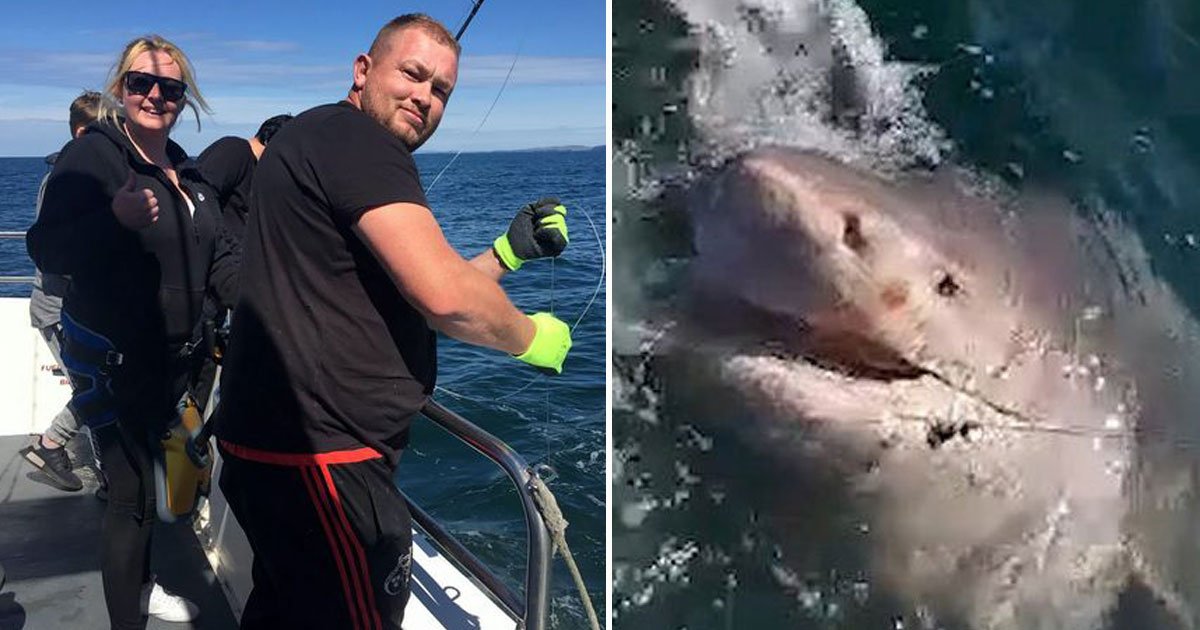 woman caught 1200 lb shark.jpg?resize=412,232 - Une femme de 30 ans a capturé un requin de 4,5 mètres pesant 550 kilos en Irlande