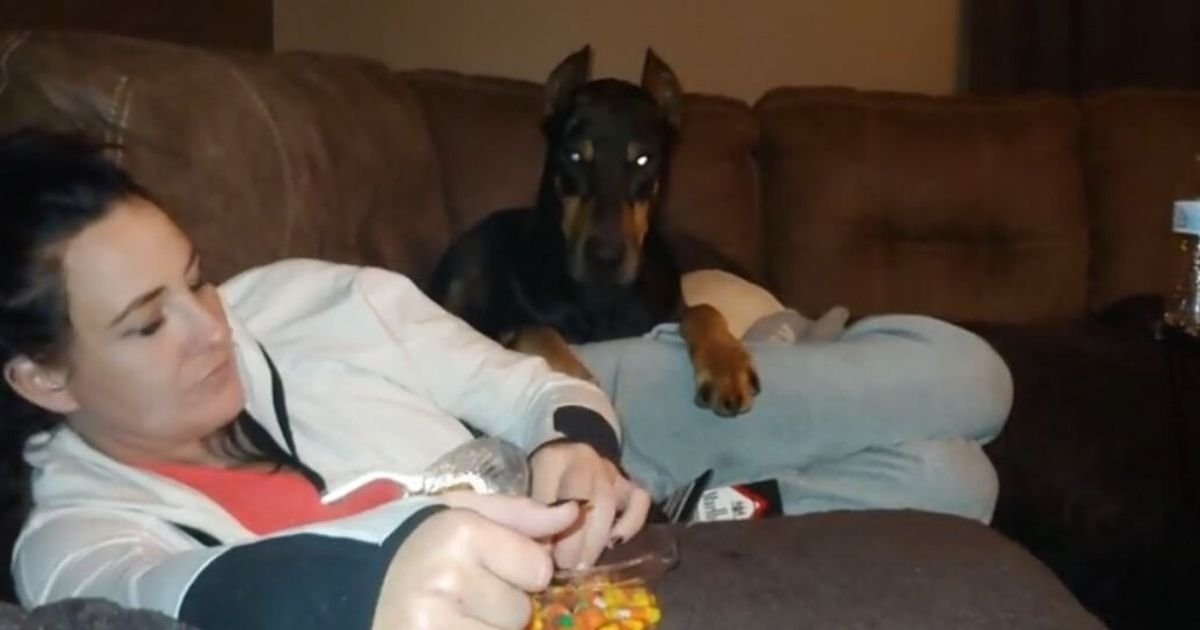 y2 1.jpg?resize=1200,630 - Doberman Cannot Resist The Halloween Candy