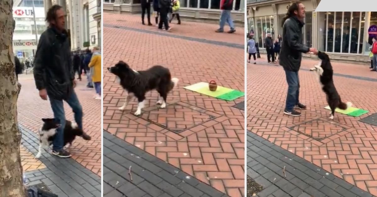 y4 4.jpg?resize=412,232 - Dog Performs Cool Tricks On The Streets and People Can't Get Enough