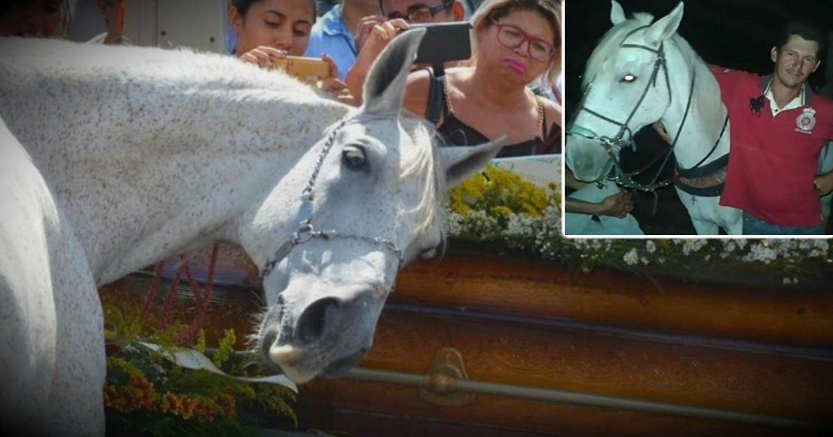 y5 7.jpg?resize=1200,630 - Vidéo : Un cheval ne peut pas se calmer lorsqu'il sent l'odeur de son maître décédé dans le cercueil