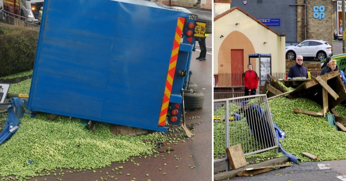 1 237.jpg?resize=1200,630 - Thousands Of Sprouts Spilled All Over The Road After The Driver Misjudged A Roundabout