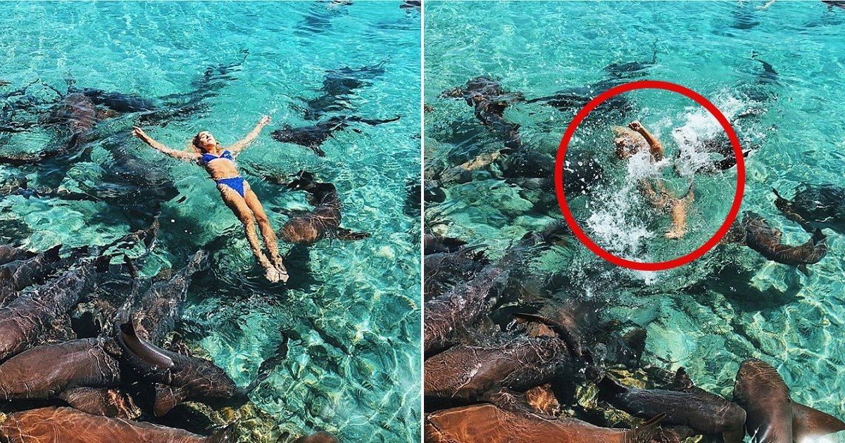 1 9.jpg?resize=412,275 - Es Modelo De Instagram Y Fue Atacada Por Un Tiburón Mientras Posaba Para Una Foto