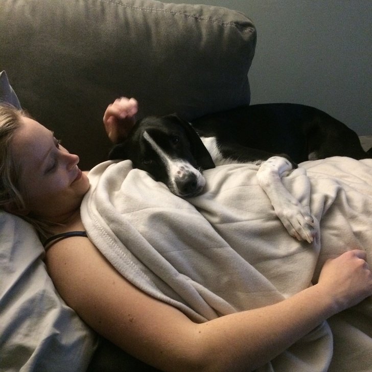 24 Dogs Who Love Their Humans So Much, Their Gazes Are Worth a Million Words