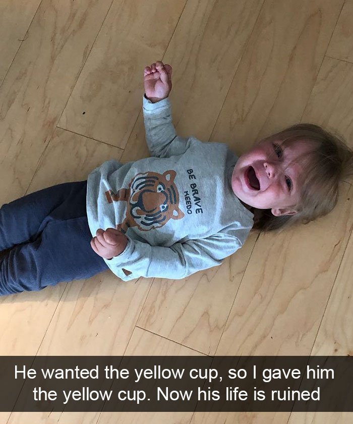 He Wanted The Yellow Cup, So I Gave Him The Yellow Cup. Now His Life Is Ruined