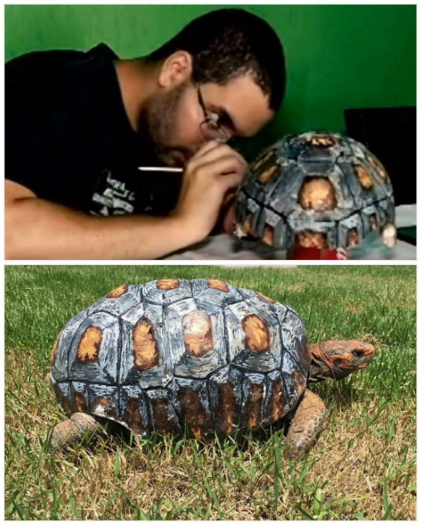 The Tortoise Who Got Burnt In A Fire Receives 3D Printed Shell